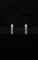 Pendientes de Oro Blanco con Diamantes