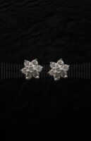 Pendientes Roseta y Brillantes