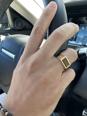 Colección Wolf Men rings & surf, Diamante 0.04 ct, ojo de tigre, sellos