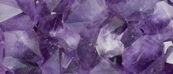 43dfc2c505559933942ad8c69a718d3d-1