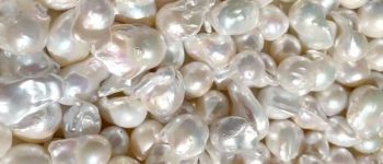 fc80e5aef04568eb7485b0a94033b24d